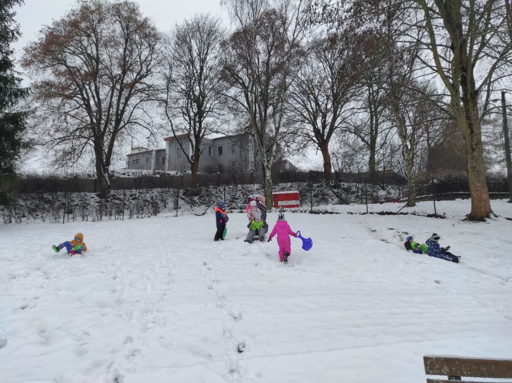 IMG_20231127_102823