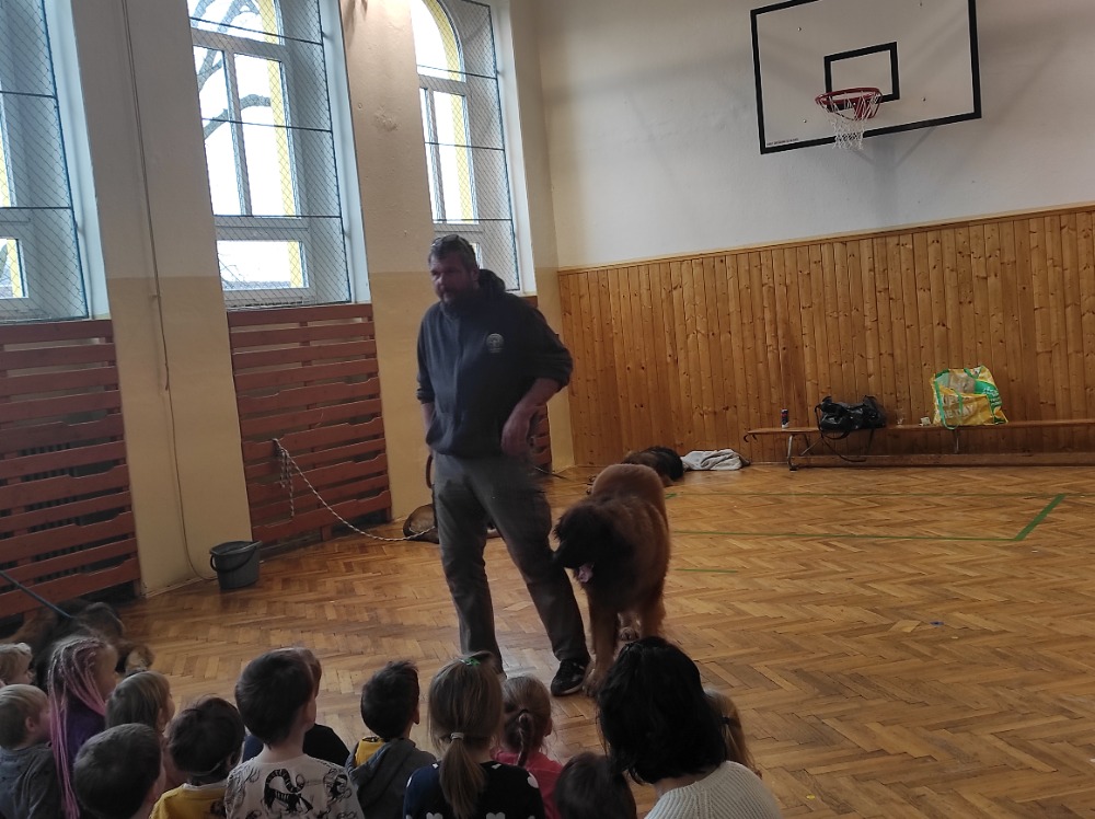 IMG_20240227_103333