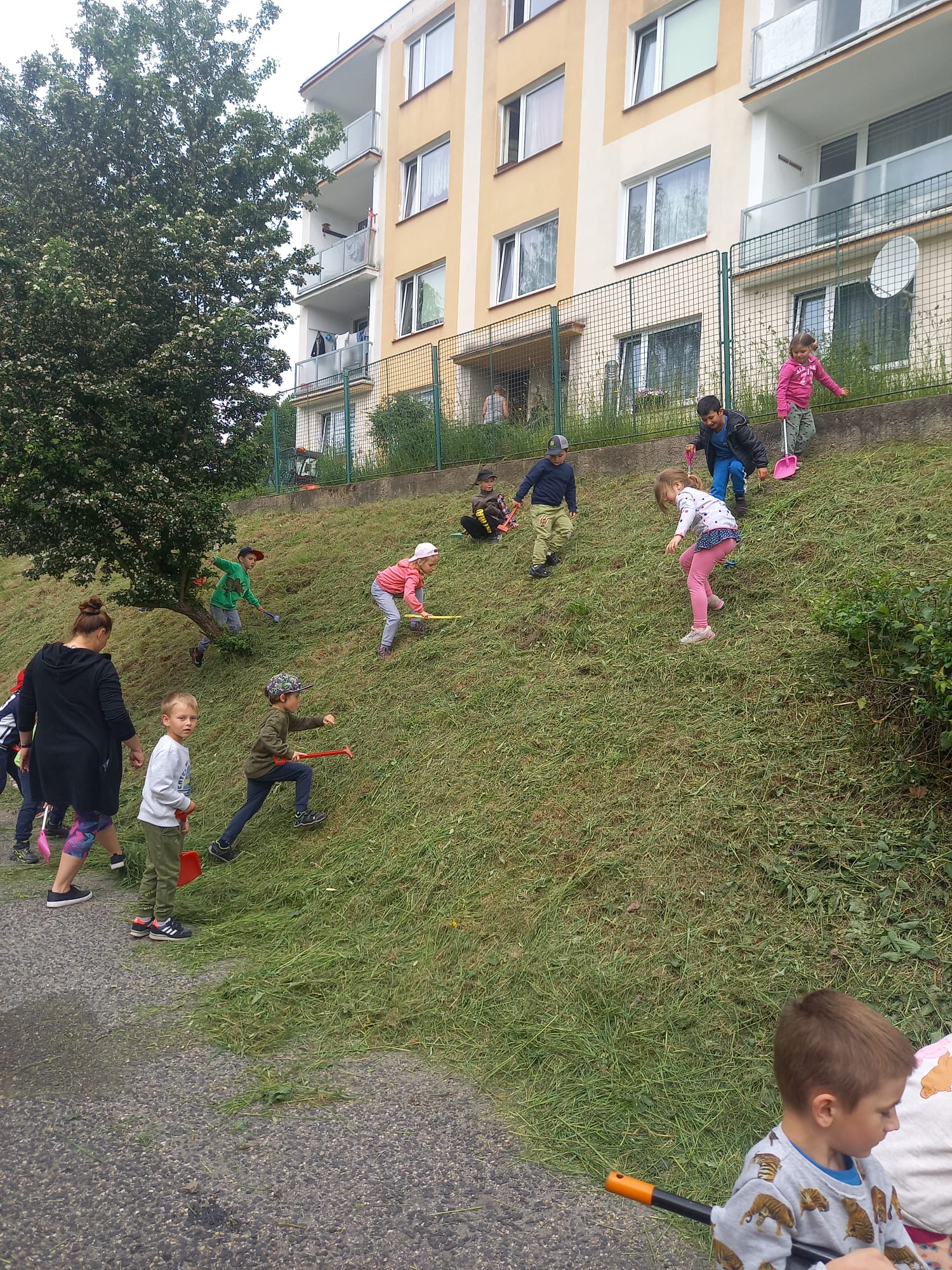IMG-20240521-WA0022