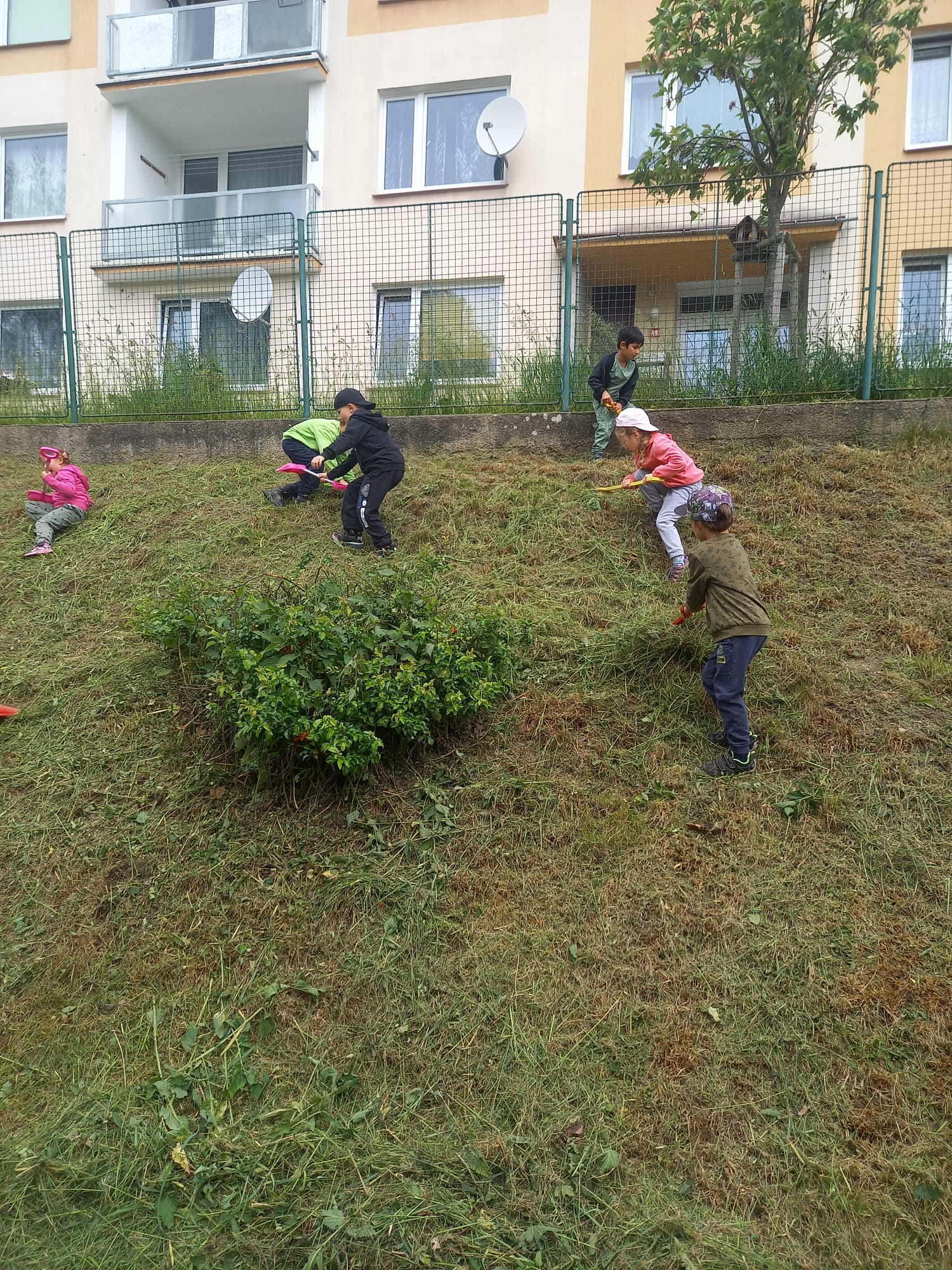 IMG-20240521-WA0024