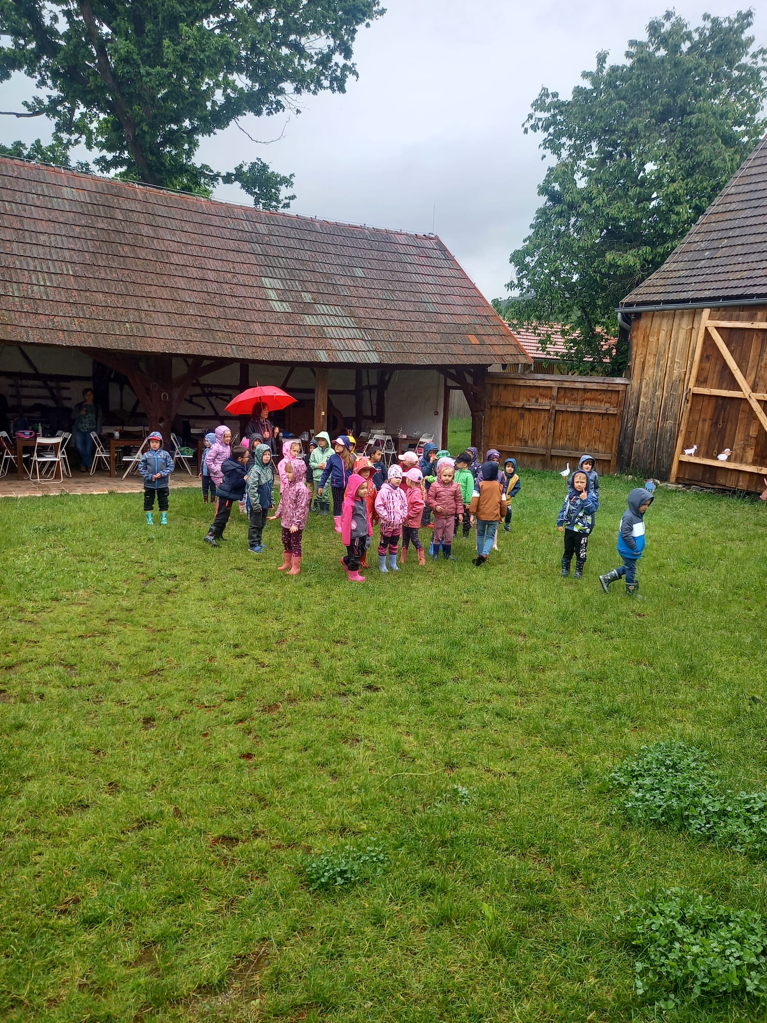 IMG-20240530-WA0038