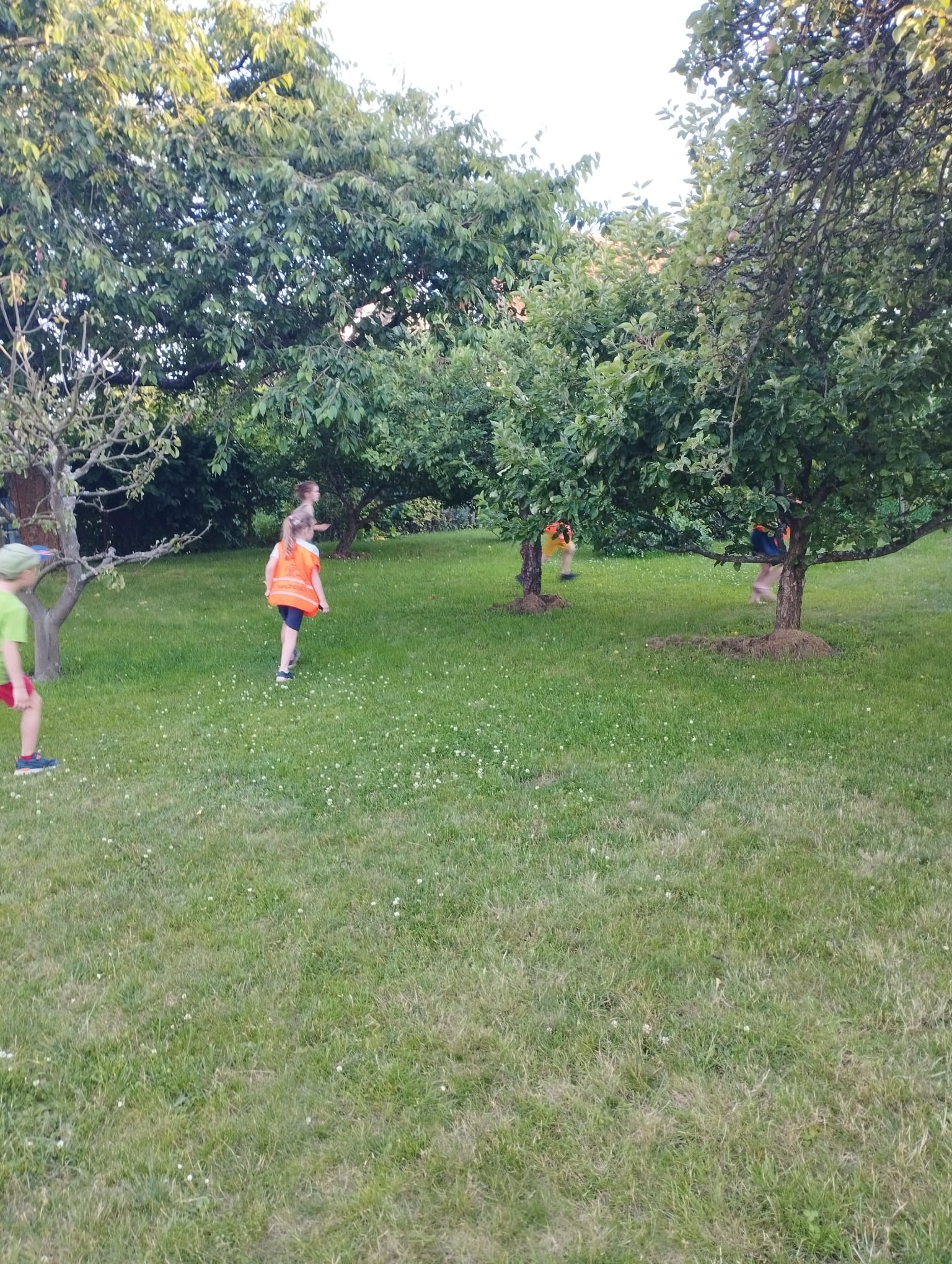 IMG-20240628-WA0071
