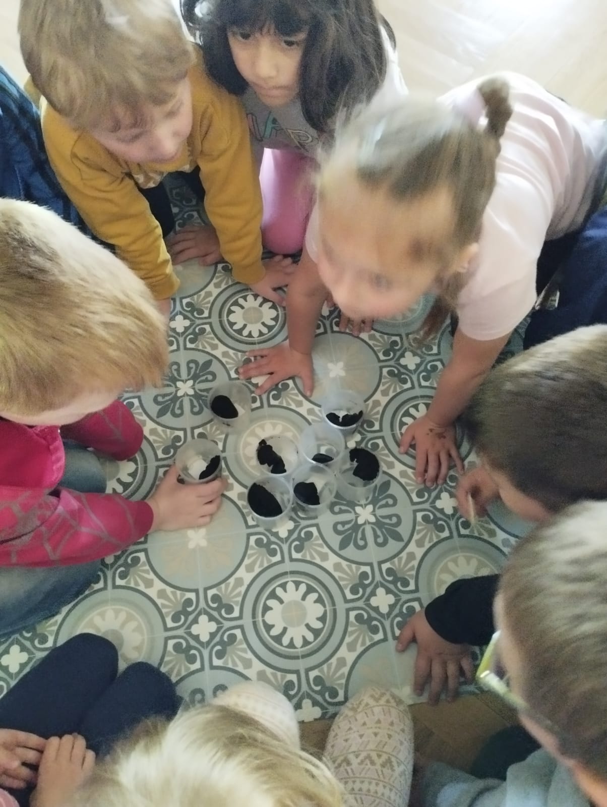 IMG-20250514-WA0048