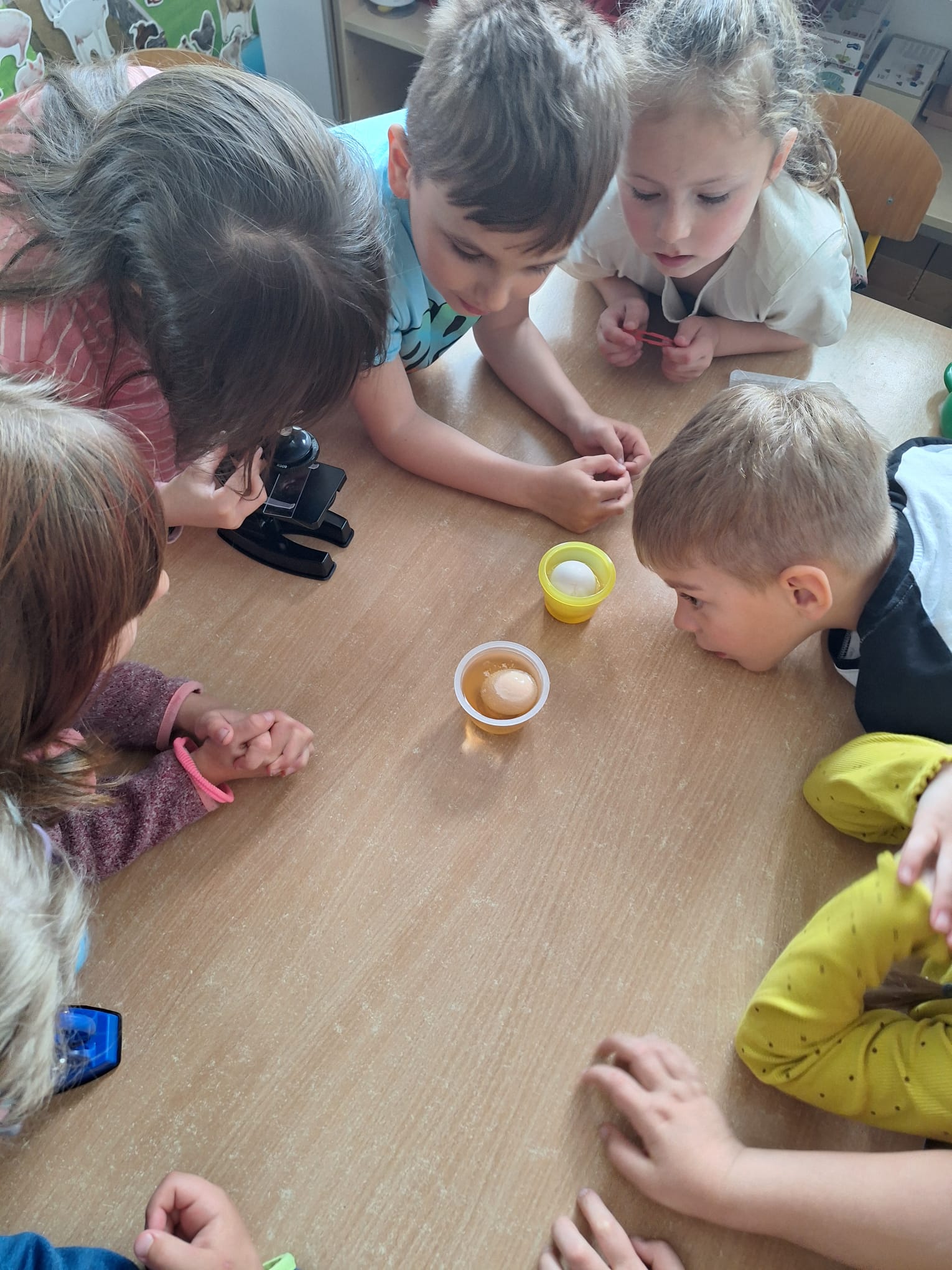 IMG-20250529-WA0008