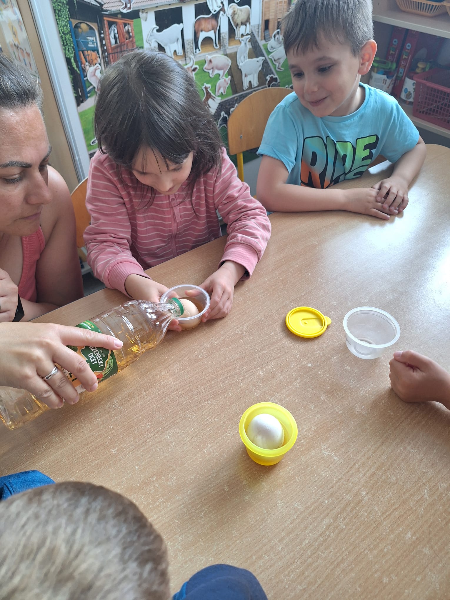 IMG-20250529-WA0011