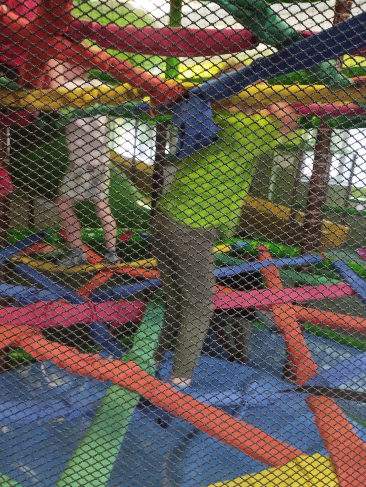 IMG-20250603-WA0028