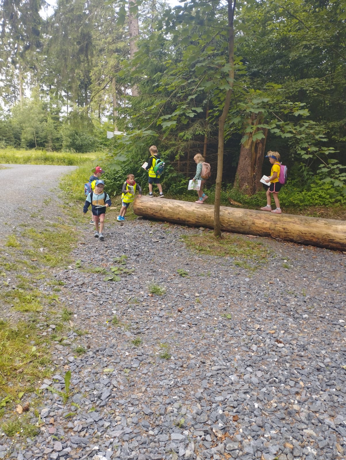 IMG-20250619-WA0052
