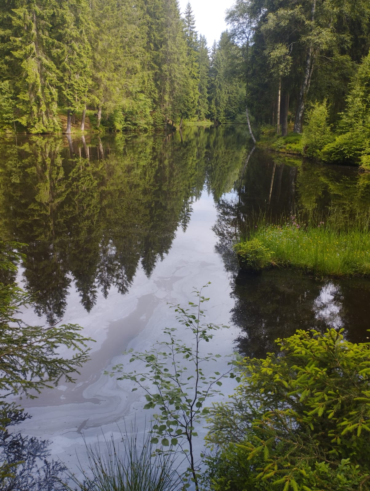 IMG-20250619-WA0041