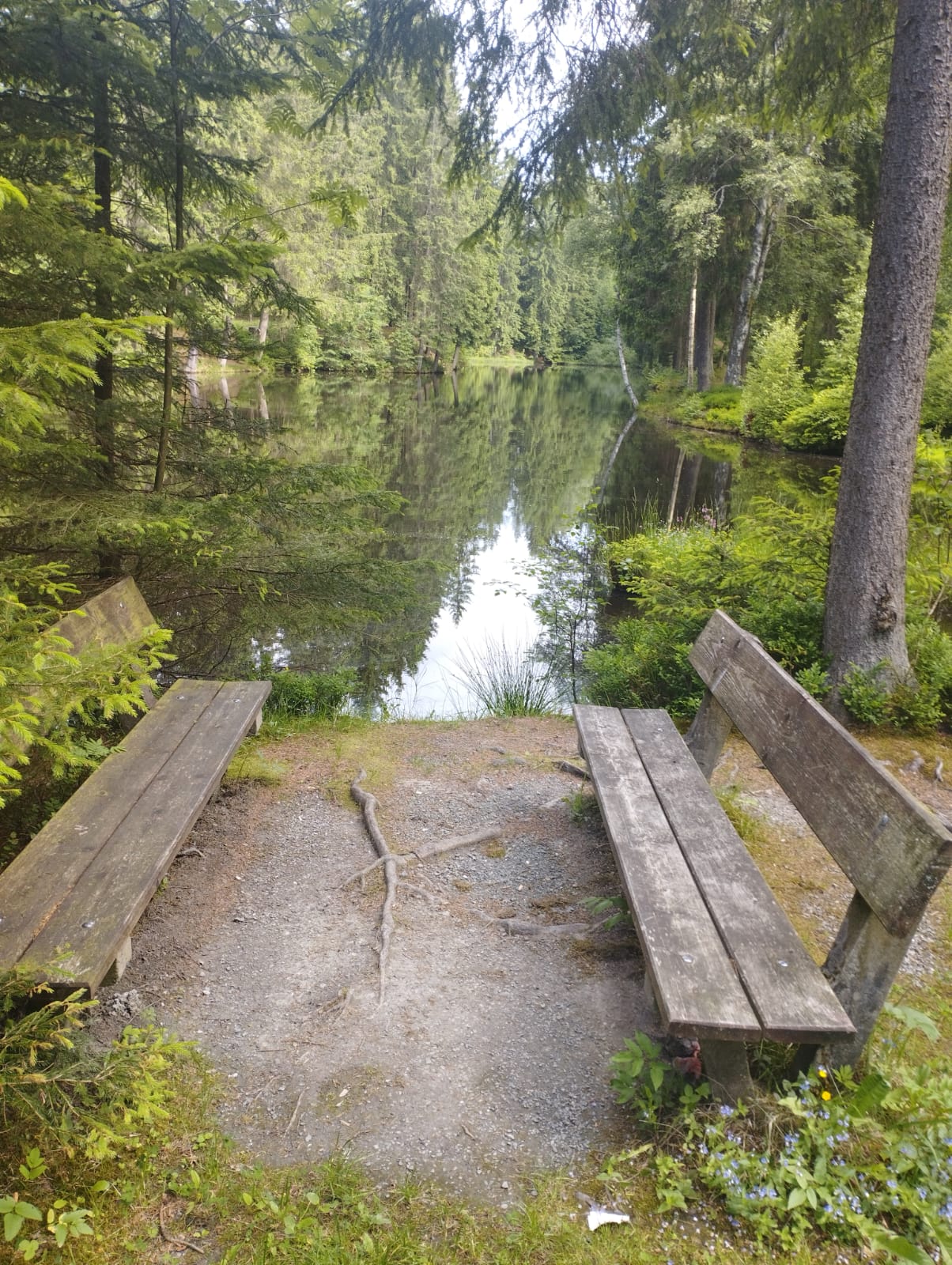 IMG-20250619-WA0043
