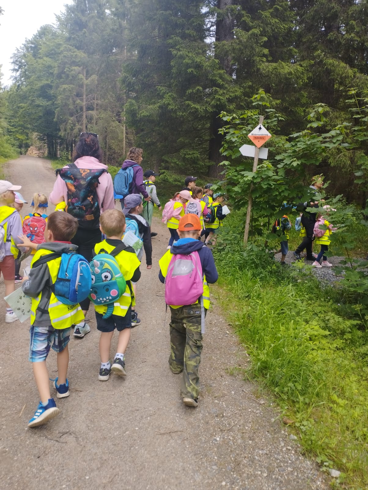 IMG-20250619-WA0036