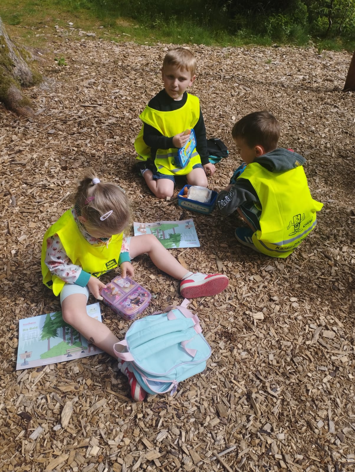 IMG-20250619-WA0039