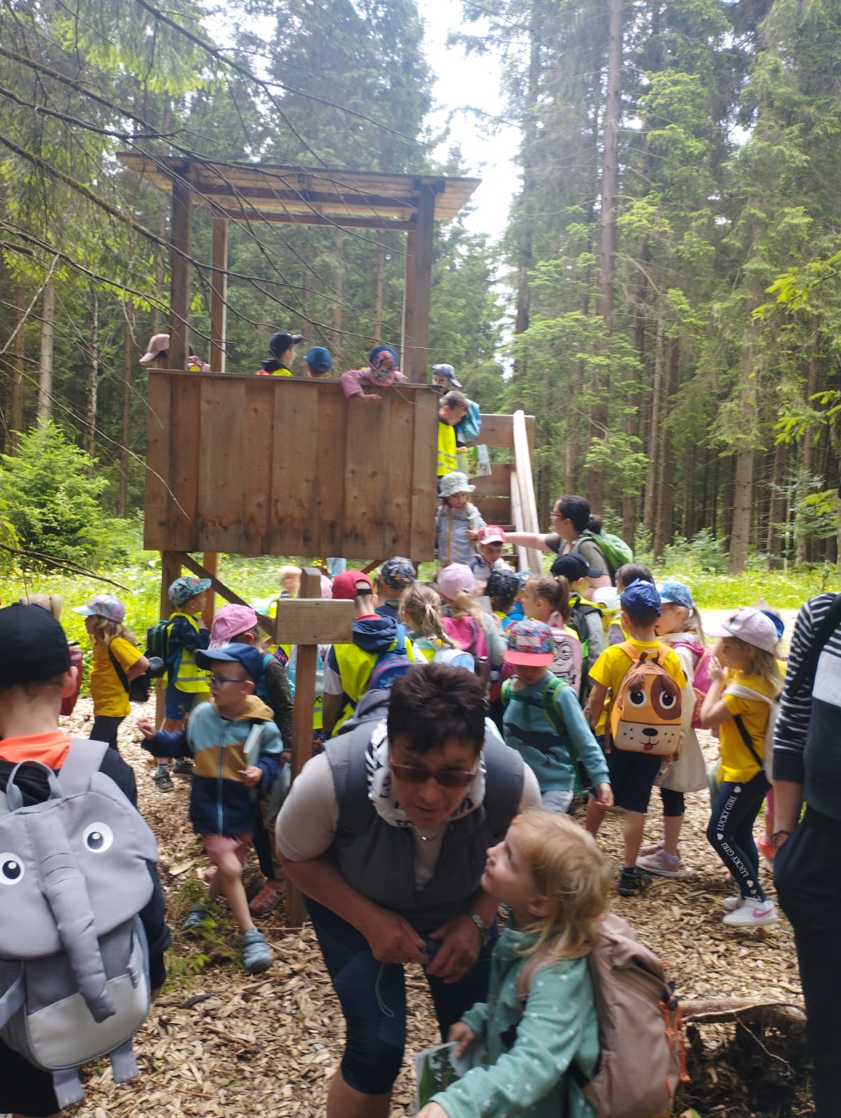 IMG-20250619-WA0031