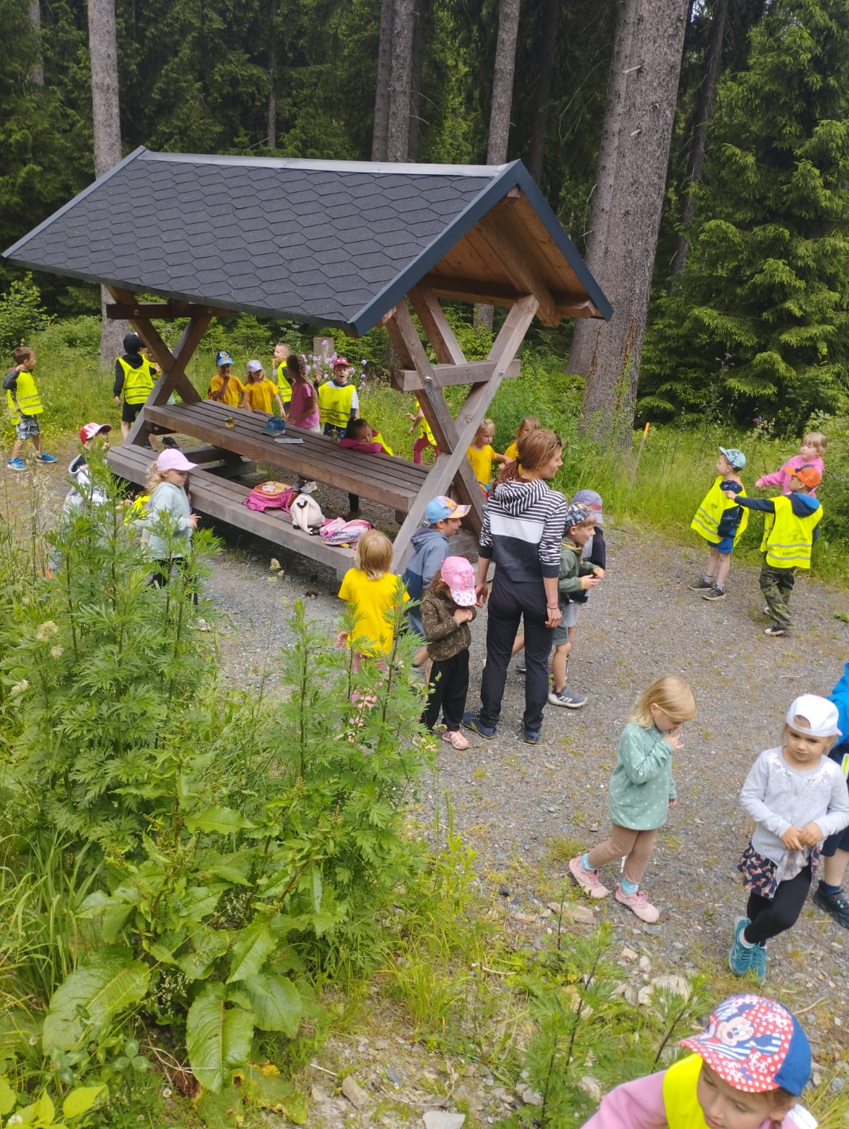 IMG-20250619-WA0020