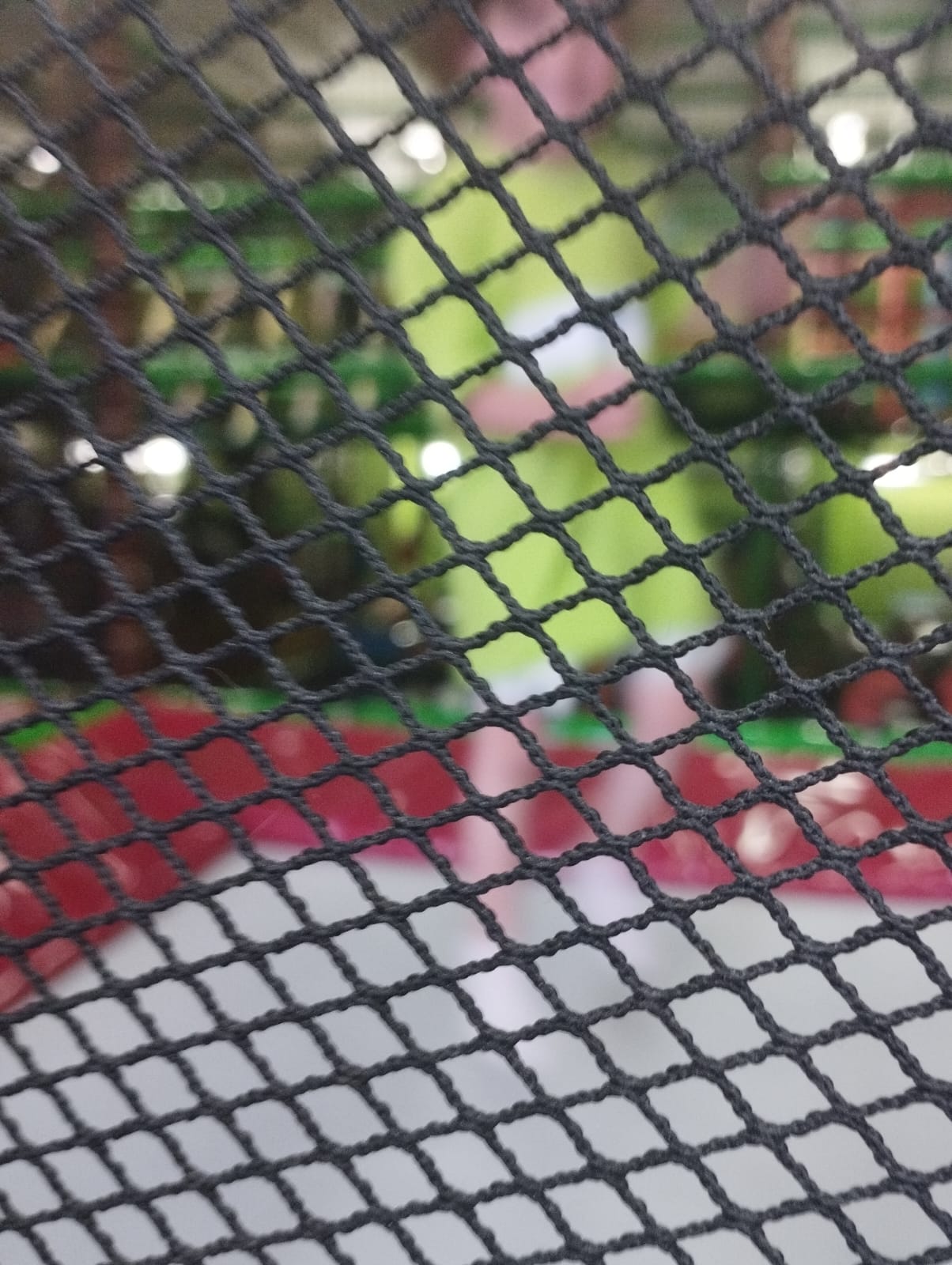 IMG-20250702-WA0009