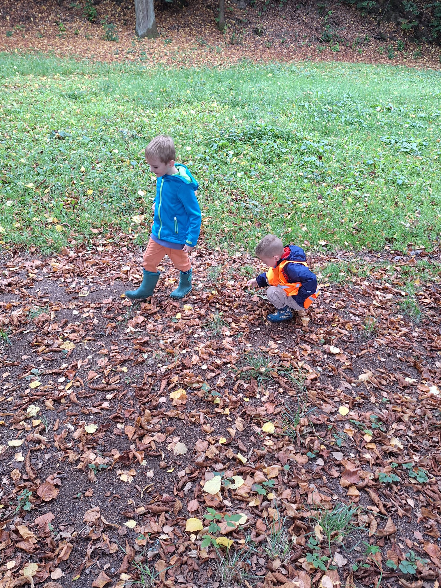 IMG-20250912-WA0003