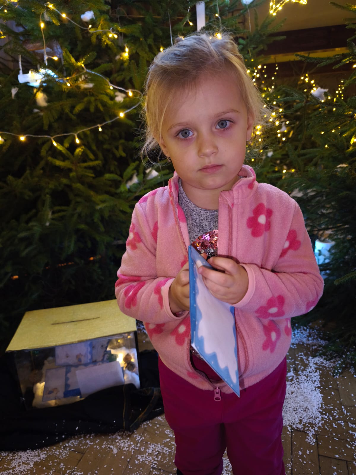 Obrázek WhatsApp, 2025-12-04 v 16.24.33_cc7dd8e4