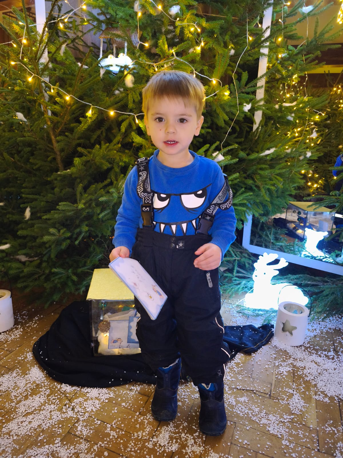 Obrázek WhatsApp, 2025-12-04 v 16.25.53_27331e68