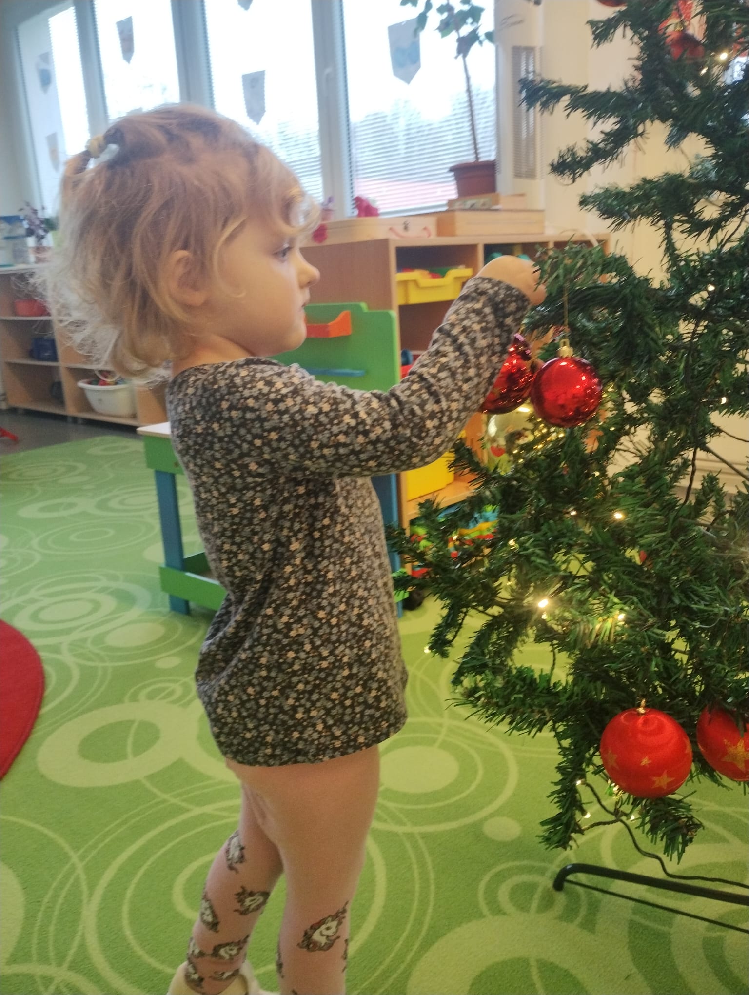 Obrázek WhatsApp, 2025-12-02 v 12.49.29_66f2fa96