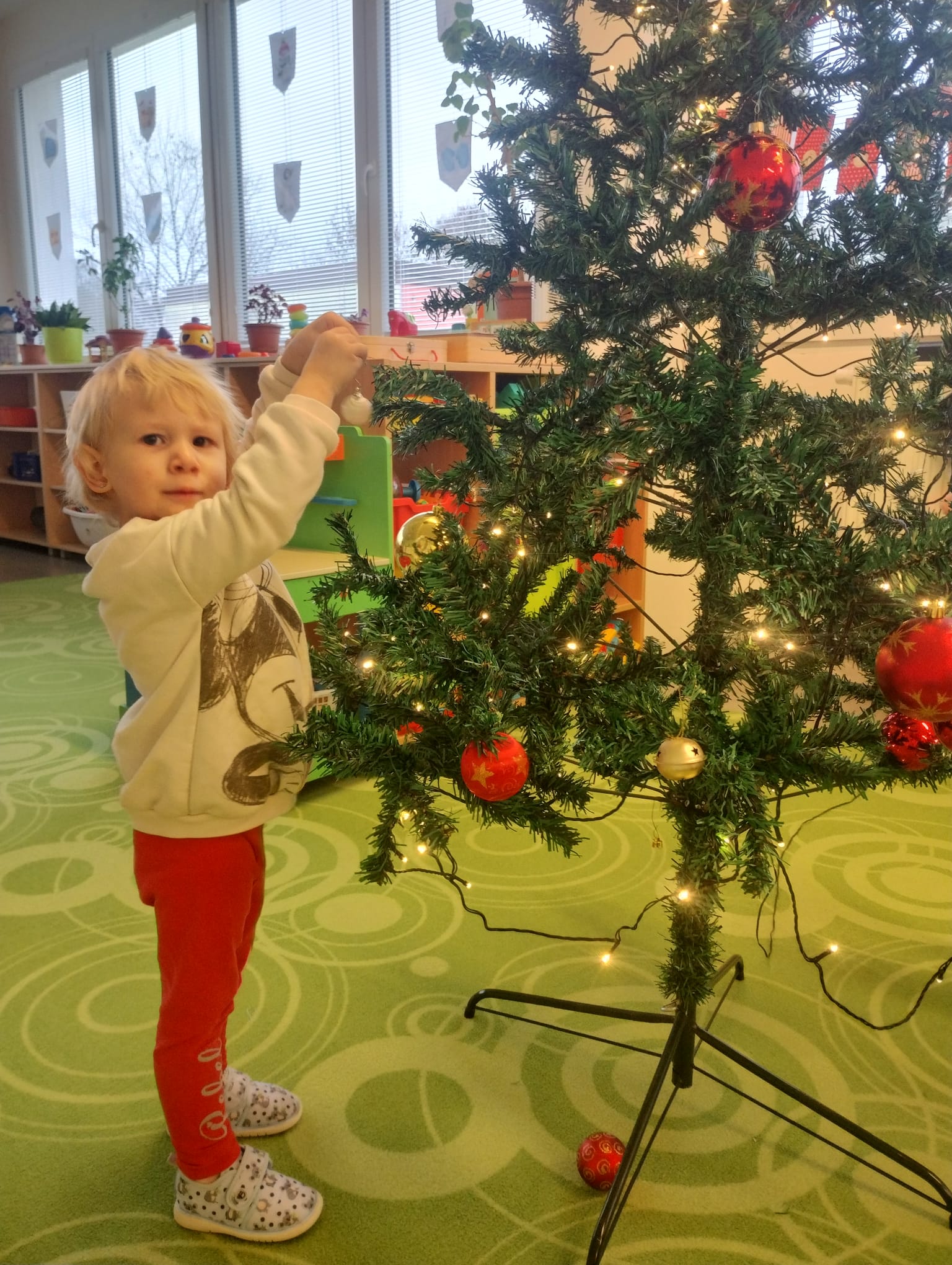 Obrázek WhatsApp, 2025-12-02 v 12.49.31_e0e05e08